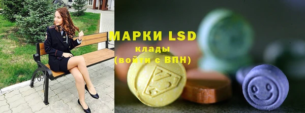 ГАЛЛЮЦИНОГЕННЫЕ ГРИБЫ Аркадак