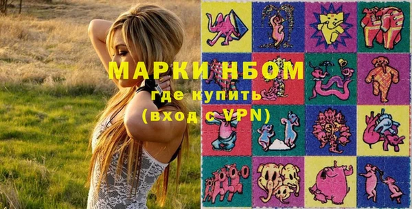 ГАЛЛЮЦИНОГЕННЫЕ ГРИБЫ Аркадак
