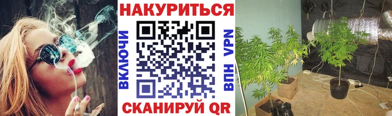 МАРИХУАНА гибрид  Сольцы 
